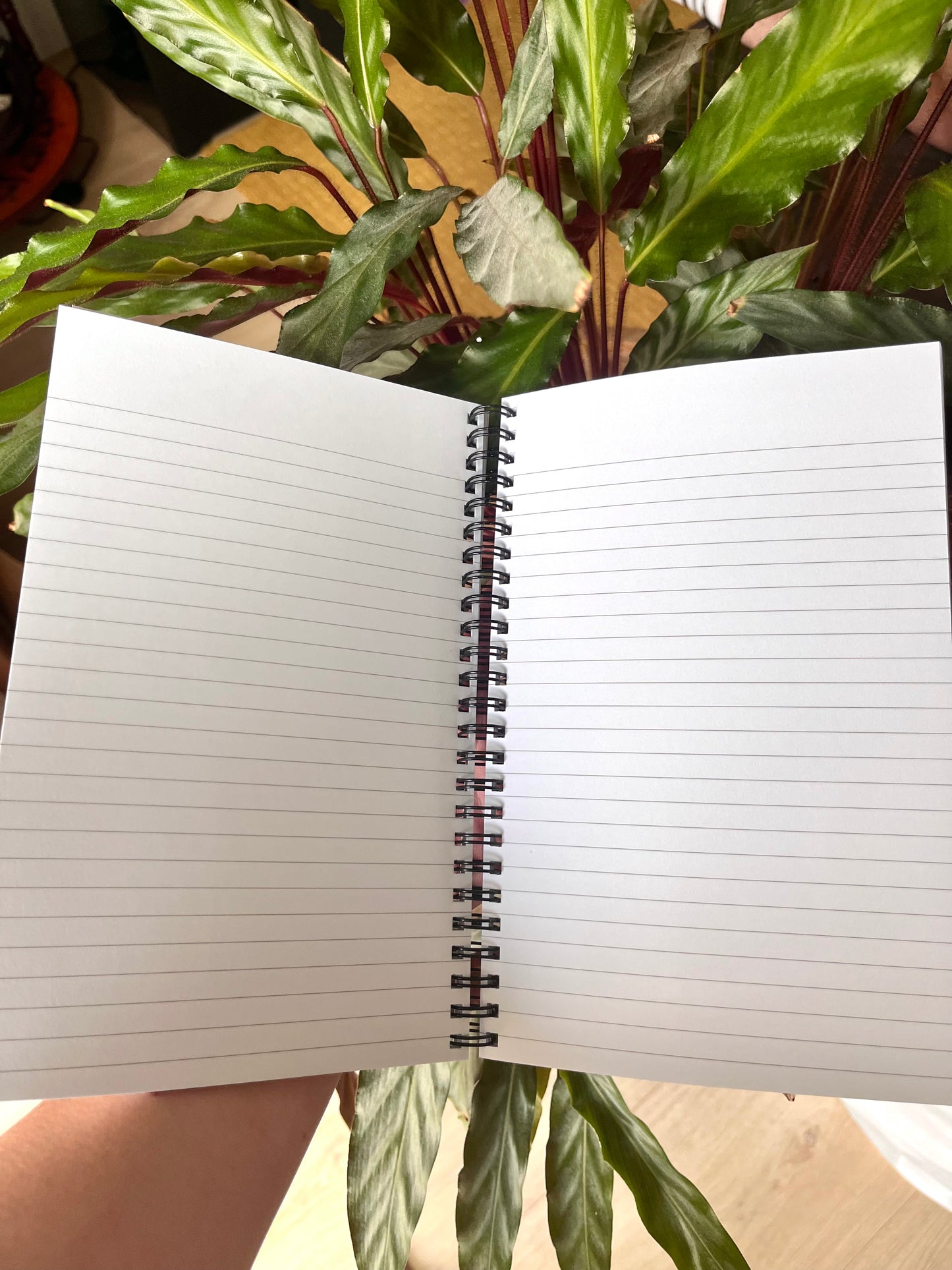 Magic is Real Notebook 🧚